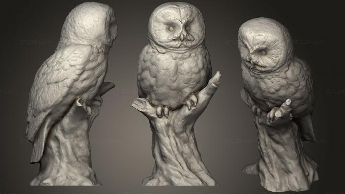 Статуэтки животных (Статуя совы 3, STKJ_1233) 3D модель для ЧПУ станка